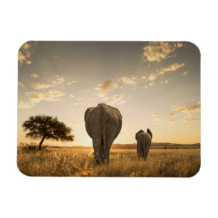 Cutest Baby Animals Elephant Calf & Mother Magnet