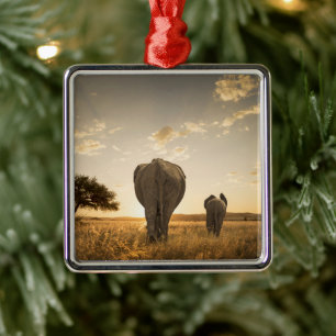 Cutest Baby Animals   Elephant Calf & Mother Metal Ornament