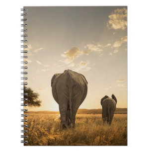Cutest Baby Animals Elephant Calf & Mother Notebook