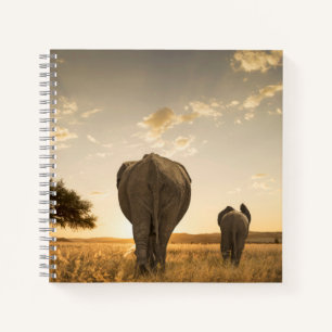 Cutest Baby Animals Elephant Calf & Mother Notebook