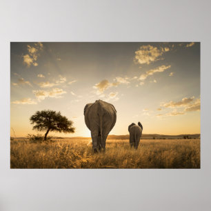 Cutest Baby Animals   Elephant Calf & Mother Poster