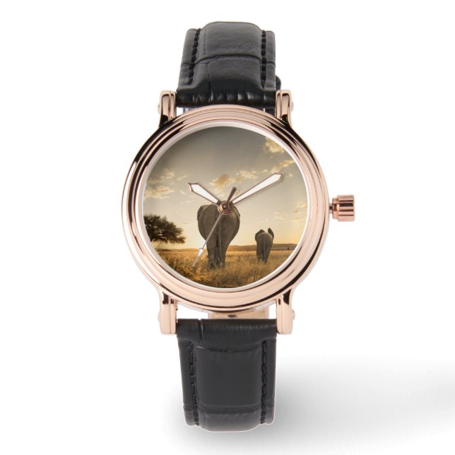 Cutest Baby Animals | Elephant Calf & Mother Watch (Front)