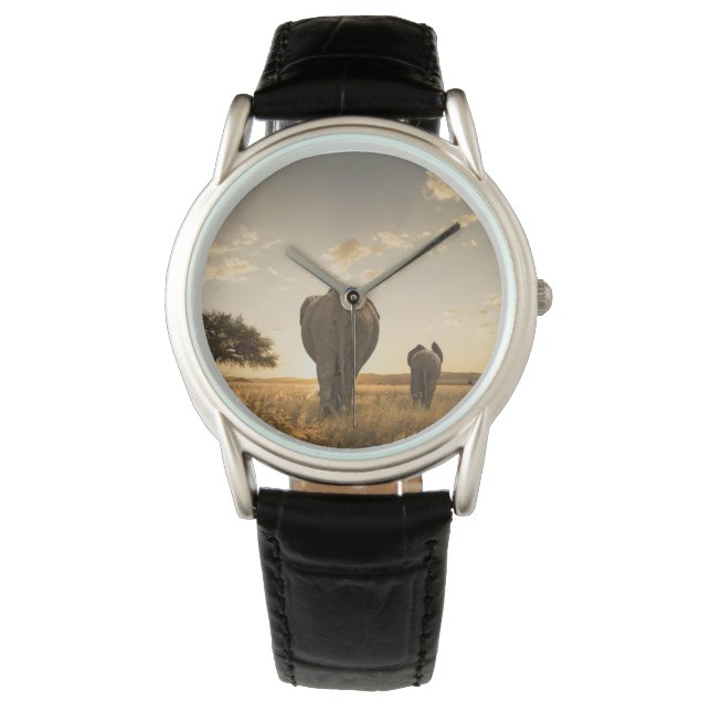 Cutest Baby Animals | Elephant Calf & Mother Watch (Front)