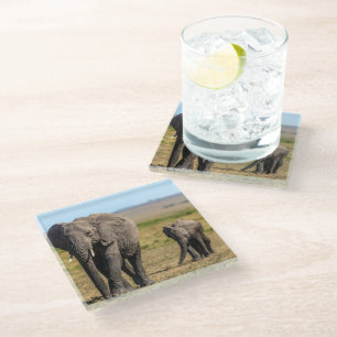 Cutest Baby Animals Elephant Mother & Baby Glass Coaster