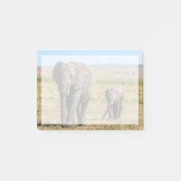 Cutest Baby Animals | Elephant Mother & Baby