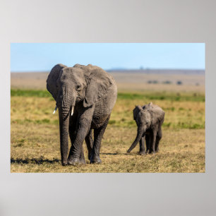 Cutest Baby Animals   Elephant Mother & Baby Poster