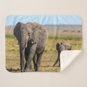 Cutest Baby Animals   Elephant Mother & Baby Sherpa Blanket