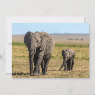 Cutest Baby Animals   Elephant Mother & Baby Thank You Card