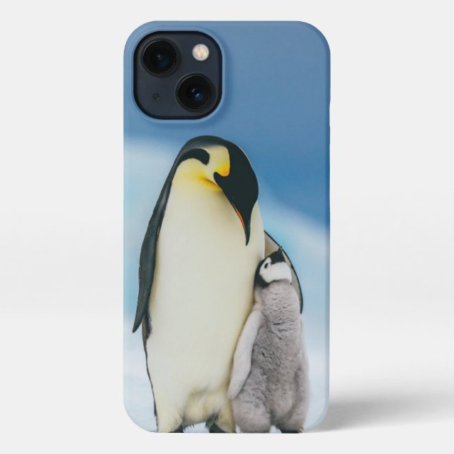 Cutest Baby Animals | Emperor Penguin Chick iPhone Case (Back)