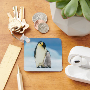 Cutest Baby Animals   Emperor Penguin Chick Key Ring