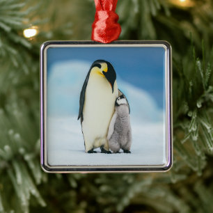 Cutest Baby Animals Emperor Penguin Chick Metal Ornament