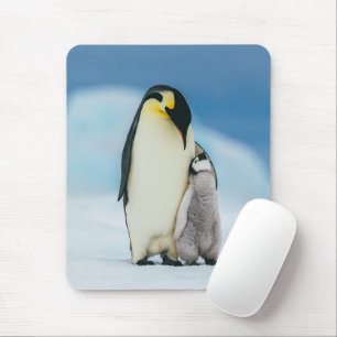 Cutest Baby Animals   Emperor Penguin Chick Mouse Pad