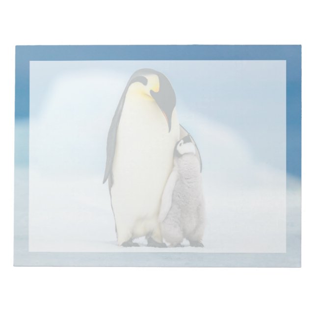 Cutest Baby Animals | Emperor Penguin Chick Notepad (Front)