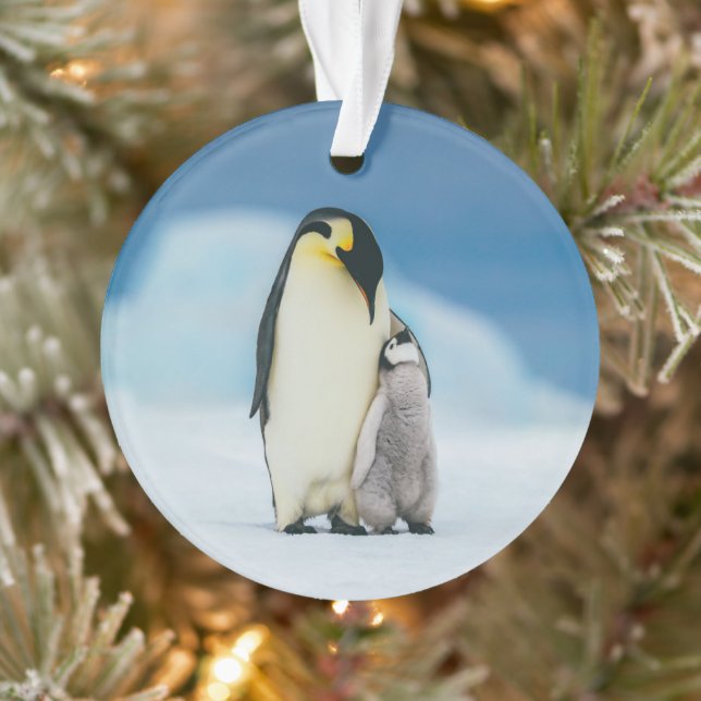 Cutest Baby Animals | Emperor Penguin Chick Ornament (Tree)