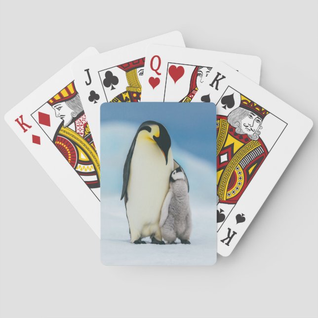 Cutest Baby Animals | Emperor Penguin Chick Playing Cards (Back)