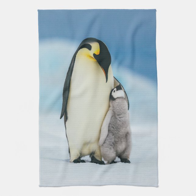 Cutest Baby Animals | Emperor Penguin Chick Tea Towel (Vertical)