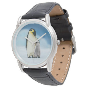 Cutest Baby Animals   Emperor Penguin Chick Watch