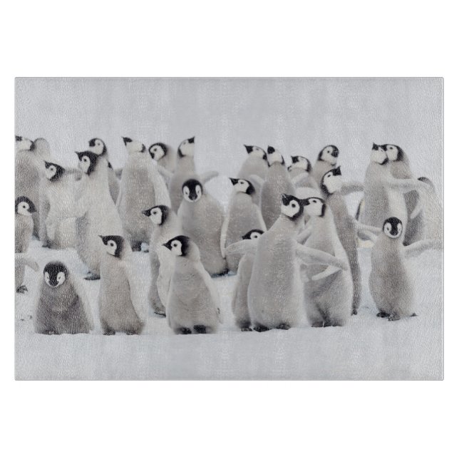 Cutest Baby Animals | Emperor Penguin Chicks Cutting Board (Front)