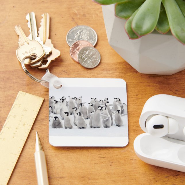 Cutest Baby Animals | Emperor Penguin Chicks Key Ring (Desk)