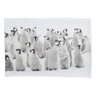 Cutest Baby Animals   Emperor Penguin Chicks Pillowcase