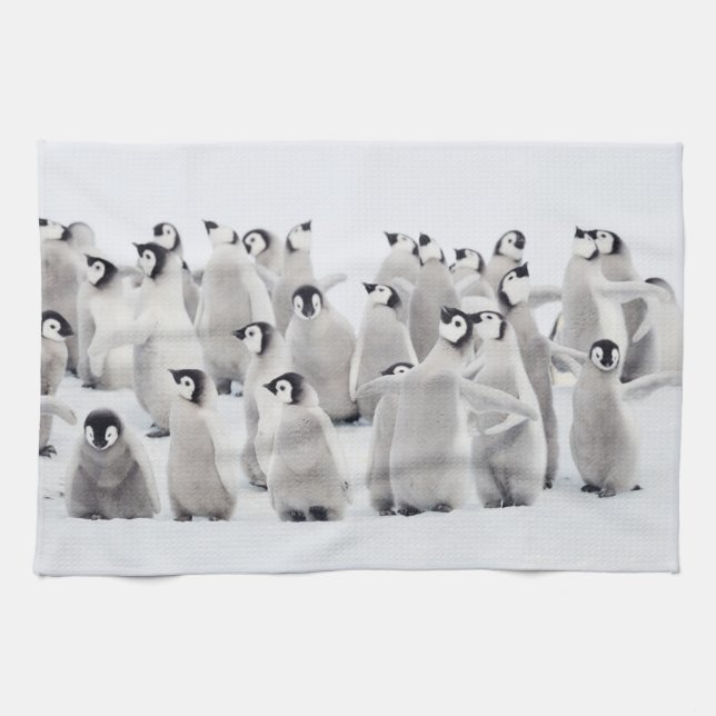 Cutest Baby Animals | Emperor Penguin Chicks Tea Towel (Horizontal)