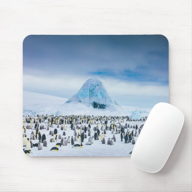 Cutest Baby Animals | Emperor Penguin Colony Mouse Pad (With Mouse)