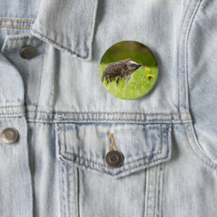 Cutest Baby Animals European Hedgehog 6 Cm Round Badge