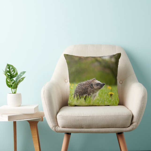 Cutest Baby Animals | European Hedgehog Cushion (Chair)