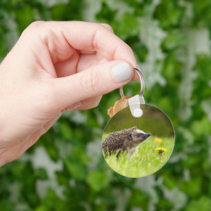Cutest Baby Animals European Hedgehog Key Ring