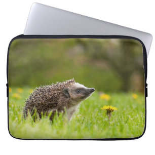 Cutest Baby Animals   European Hedgehog Laptop Sleeve