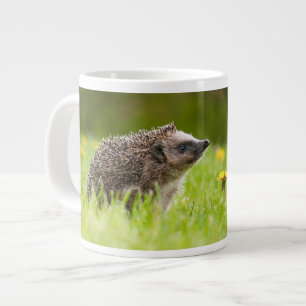 Cutest Baby Animals   European Hedgehog Large Coffee Mug