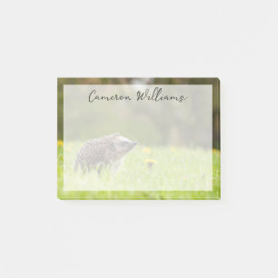Cutest Baby Animals   European Hedgehog Post-it Notes