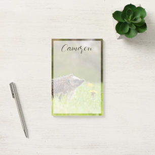 Cutest Baby Animals European Hedgehog Post-it Notes