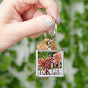 Cutest Baby Animals   Fawn with Babies Key Ring