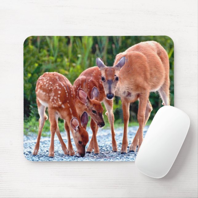 Cutest Baby Animals | Fawn with Babies Mouse Pad (With Mouse)