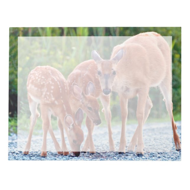 Cutest Baby Animals | Fawn with Babies Notepad (Front)