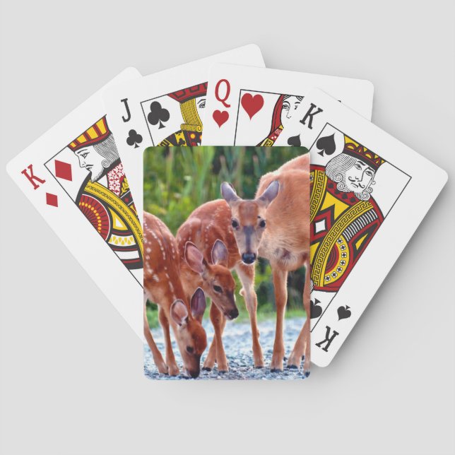 Cutest Baby Animals | Fawn with Babies Playing Cards (Back)