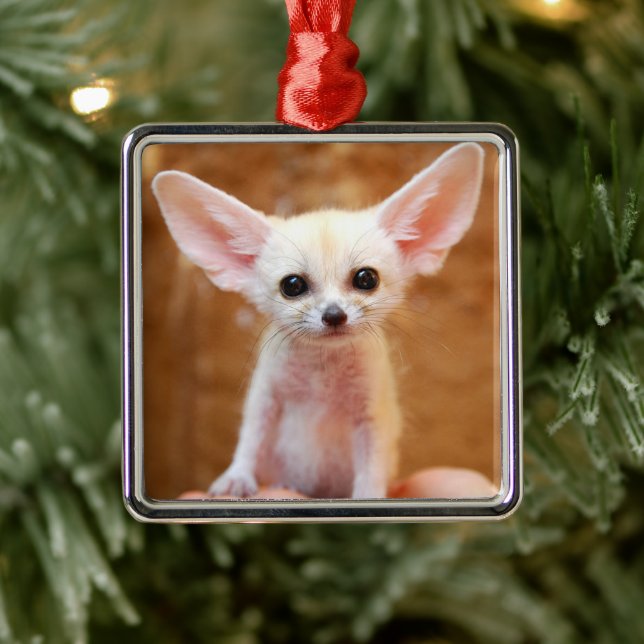 Cutest Baby Animals | Fennec Fox Metal Ornament (Tree)