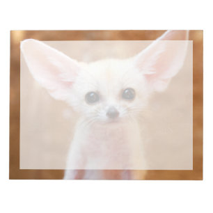 Cutest Baby Animals   Fennec Fox Notepad