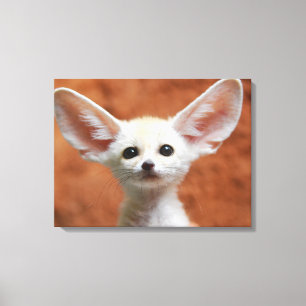 Cutest Baby Animals Fennec Fox Pup Canvas Print