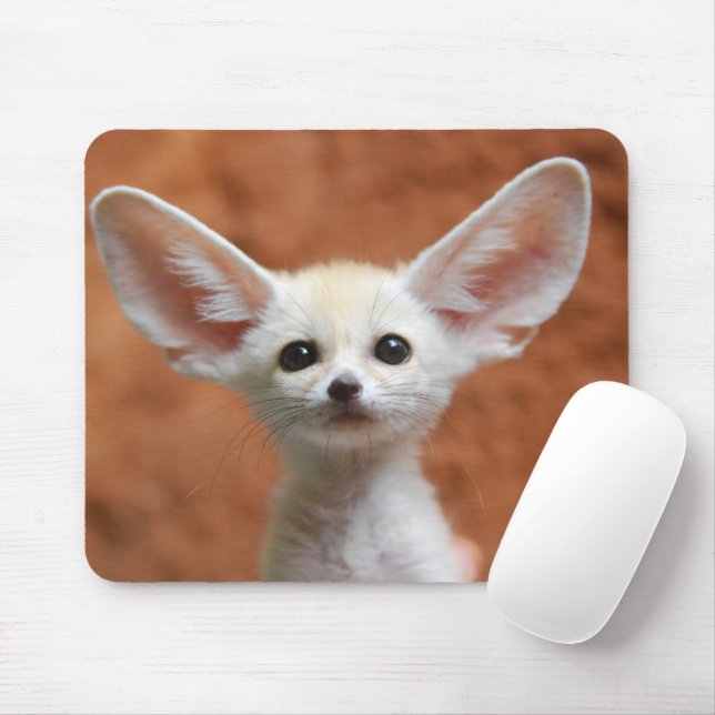Cutest Baby Animals | Fennec Fox Pup Mouse Pad (With Mouse)