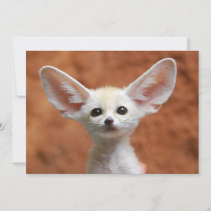 Cutest Baby Animals   Fennec Fox Pup Thank You Card