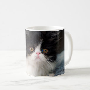 Cutest Baby Animals Fluffy B&W Kitten Coffee Mug