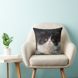 Cutest Baby Animals Fluffy B&W Kitten Cushion