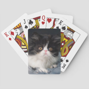 Cutest Baby Animals Fluffy B&W Kitten Playing Cards