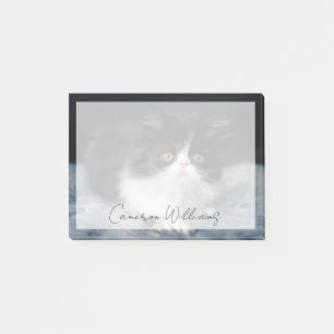 Cutest Baby Animals Fluffy B&W Kitten Post-it Notes