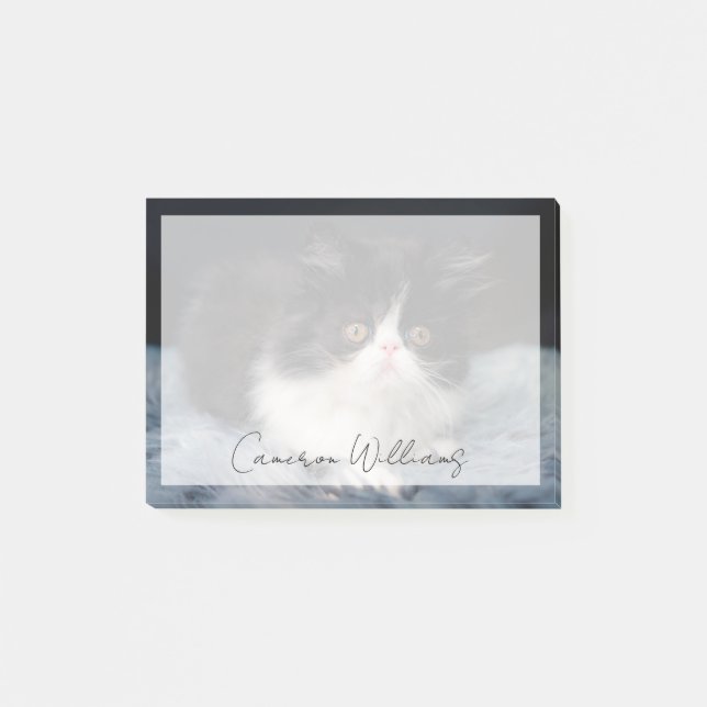 Cutest Baby Animals | Fluffy B&W Kitten Post-it Notes (Front)