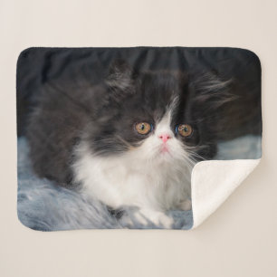 Cutest Baby Animals Fluffy B&W Kitten Sherpa Blanket