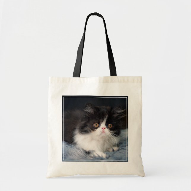 Cutest Baby Animals | Fluffy B&W Kitten Tote Bag (Front)