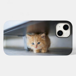 Cutest Baby Animals   Fluffy Orange Kitten Case-Mate iPhone 14 Case